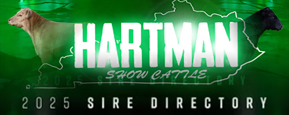 banner2