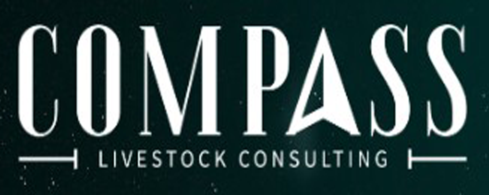 compass banner
