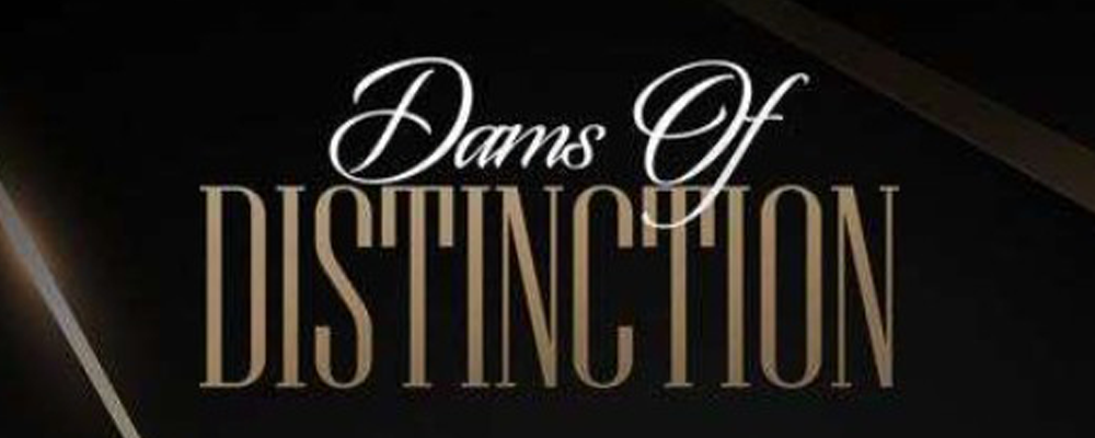 dams banner