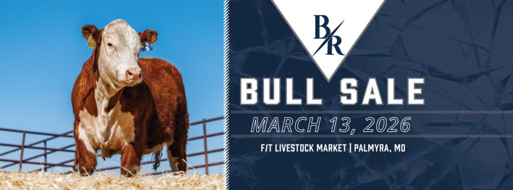 518228272_122226927998187710_800938156602448387_n