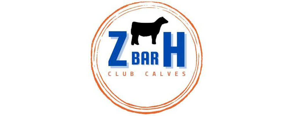z bar h banner