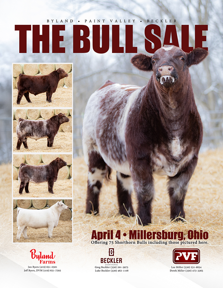 PVF-2026-01-06 The Bull Sale NWSS Ad_final copy 2