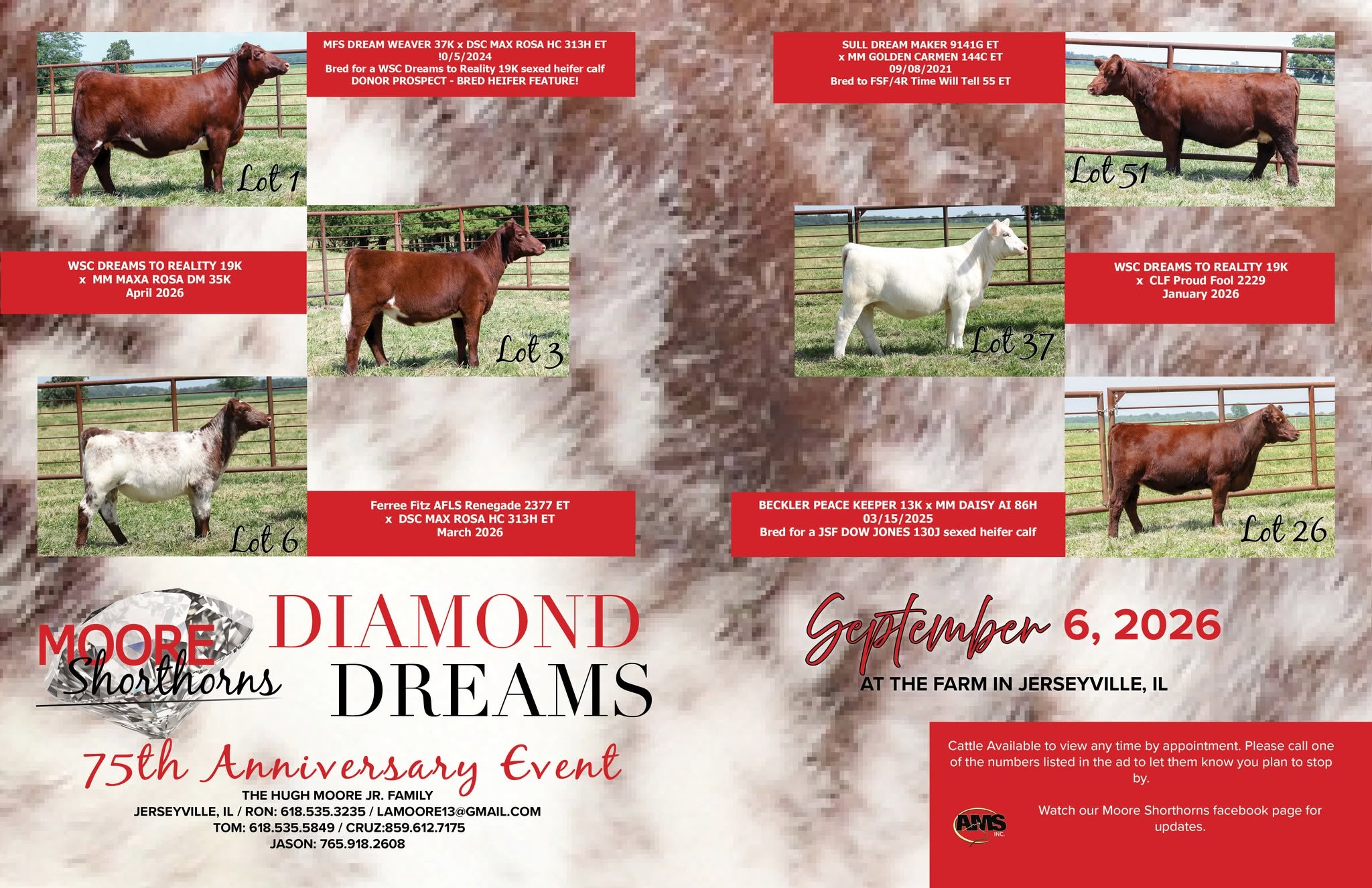 Sale ad
